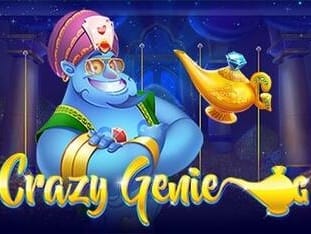 Crazy Genie game icon